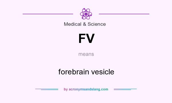 What does FV mean? It stands for forebrain vesicle