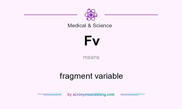 What does Fv mean? It stands for fragment variable