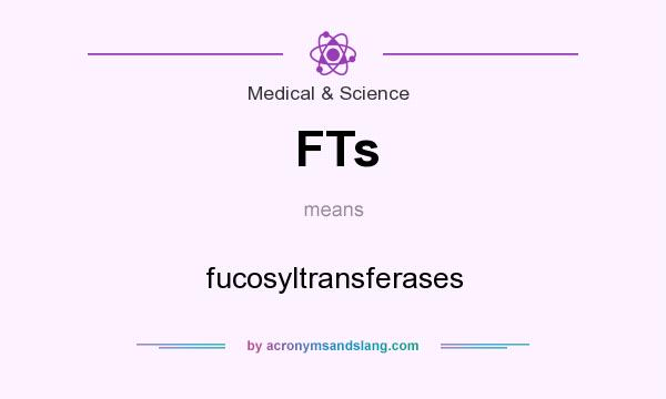 What does FTs mean? It stands for fucosyltransferases