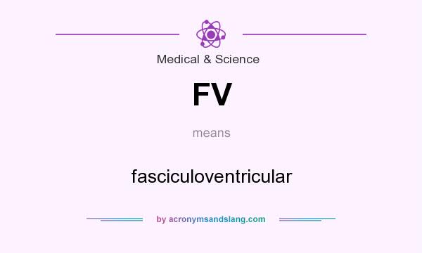 What does FV mean? It stands for fasciculoventricular