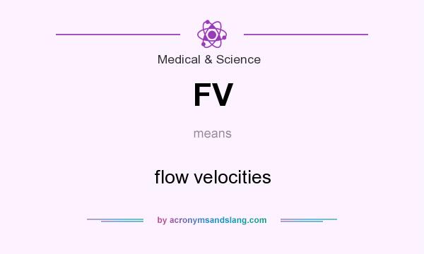 What does FV mean? It stands for flow velocities