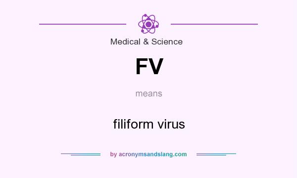 What does FV mean? It stands for filiform virus