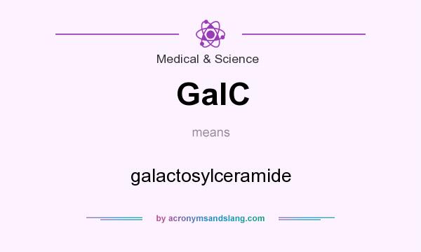 What does GalC mean? It stands for galactosylceramide