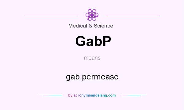What does GabP mean? It stands for gab permease