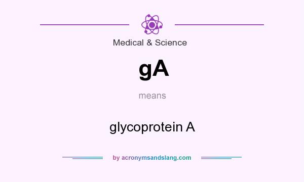 What does gA mean? It stands for glycoprotein A