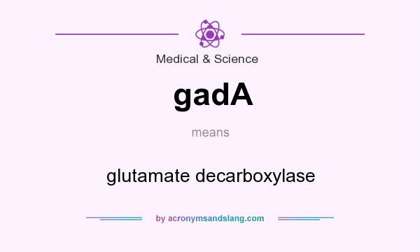 What does gadA mean? It stands for glutamate decarboxylase