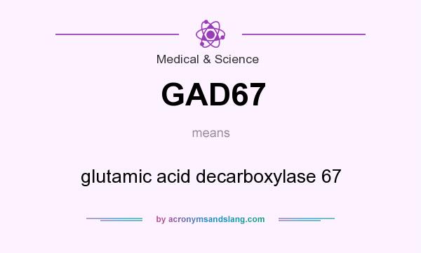 What does GAD67 mean? It stands for glutamic acid decarboxylase 67
