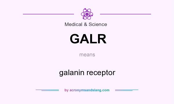 What does GALR mean? It stands for galanin receptor
