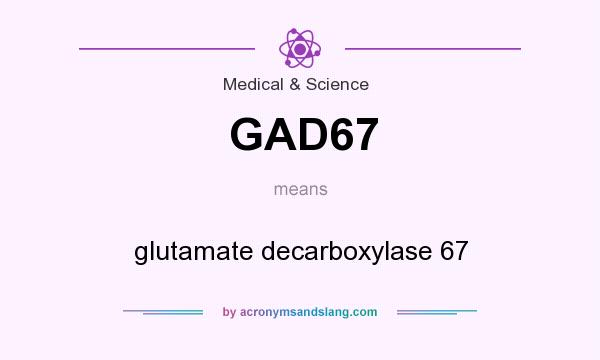 What does GAD67 mean? It stands for glutamate decarboxylase 67