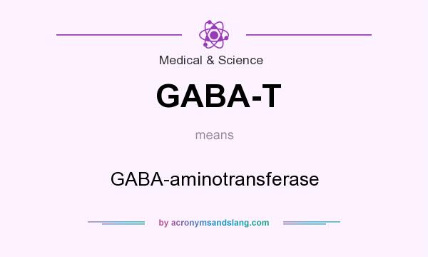 What does GABA-T mean? It stands for GABA-aminotransferase