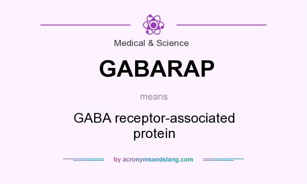 What does GABARAP mean? It stands for GABA receptor-associated protein