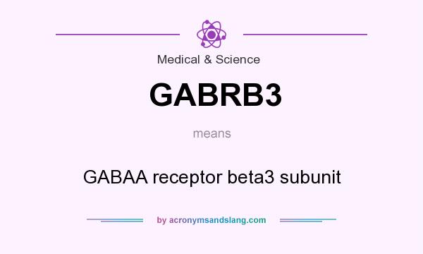 What does GABRB3 mean? It stands for GABAA receptor beta3 subunit