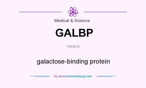 What does GALBP mean? It stands for galactose-binding protein