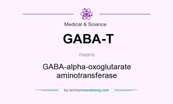 What does GABA-T mean? It stands for GABA-alpha-oxoglutarate aminotransferase