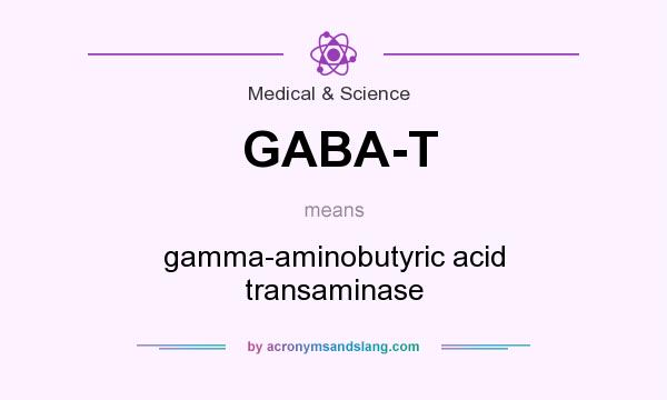 What does GABA-T mean? It stands for gamma-aminobutyric acid transaminase