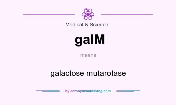 What does galM mean? It stands for galactose mutarotase