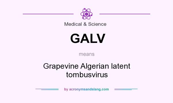 What does GALV mean? It stands for Grapevine Algerian latent tombusvirus