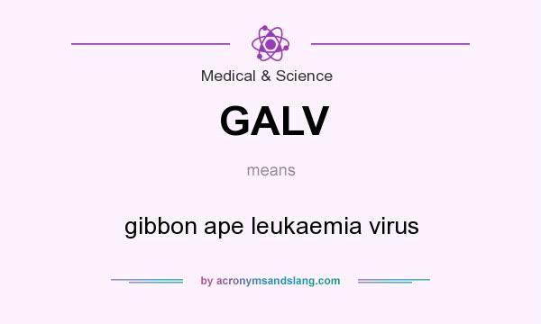 What does GALV mean? It stands for gibbon ape leukaemia virus