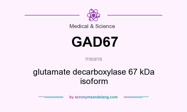 What does GAD67 mean? It stands for glutamate decarboxylase 67 kDa isoform