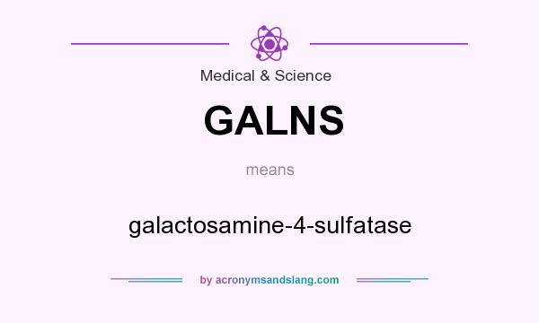 What does GALNS mean? It stands for galactosamine-4-sulfatase