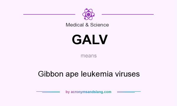 What does GALV mean? It stands for Gibbon ape leukemia viruses