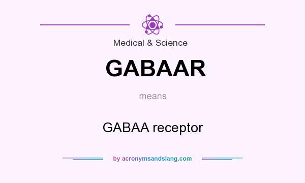 What does GABAAR mean? It stands for GABAA receptor