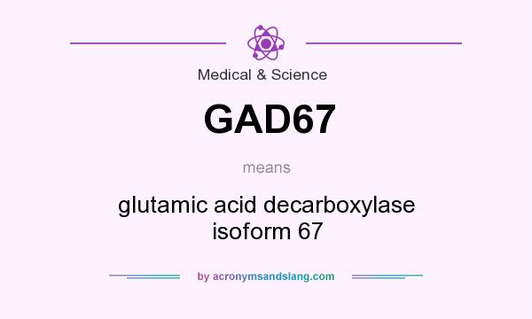 What does GAD67 mean? It stands for glutamic acid decarboxylase isoform 67