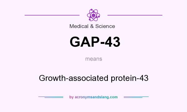 What does GAP-43 mean? It stands for Growth-associated protein-43