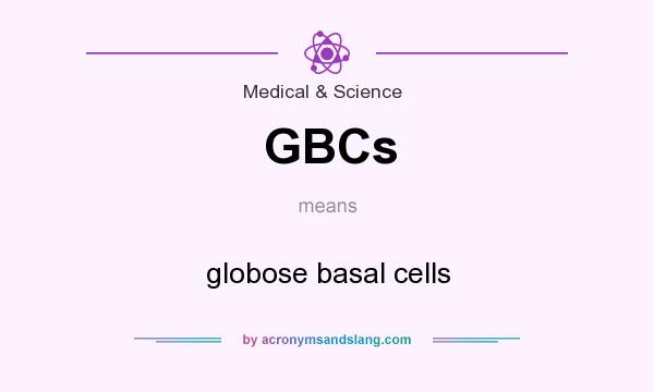 What does GBCs mean? It stands for globose basal cells