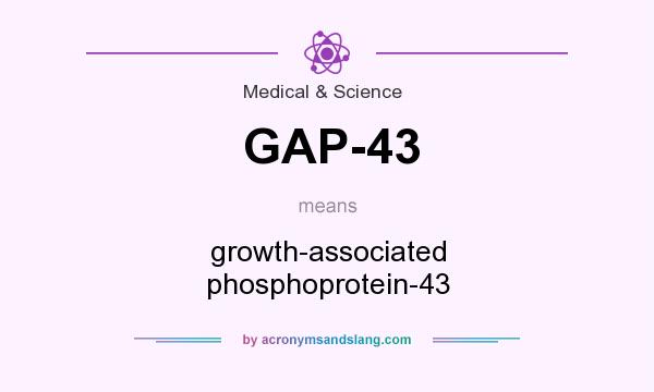 What does GAP-43 mean? It stands for growth-associated phosphoprotein-43