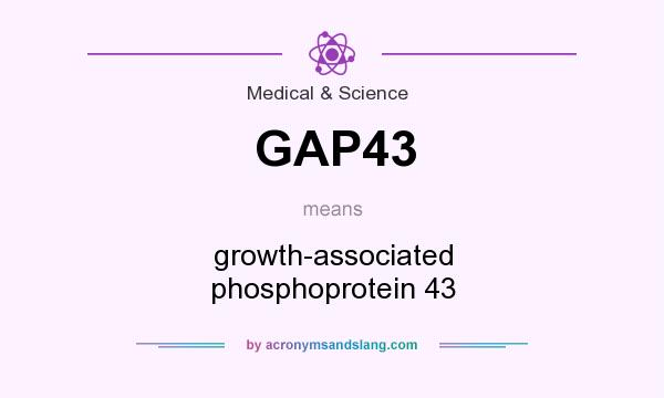 What does GAP43 mean? It stands for growth-associated phosphoprotein 43