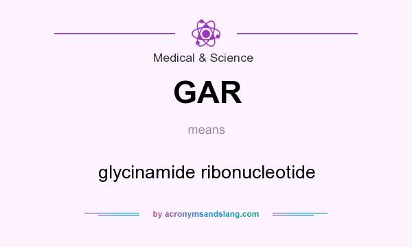 What does GAR mean? It stands for glycinamide ribonucleotide