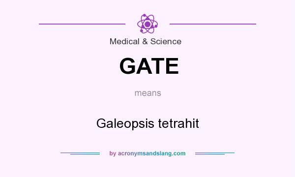 What does GATE mean? It stands for Galeopsis tetrahit