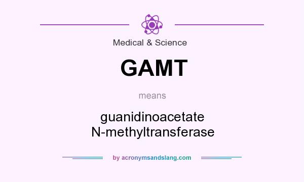 What does GAMT mean? It stands for guanidinoacetate N-methyltransferase