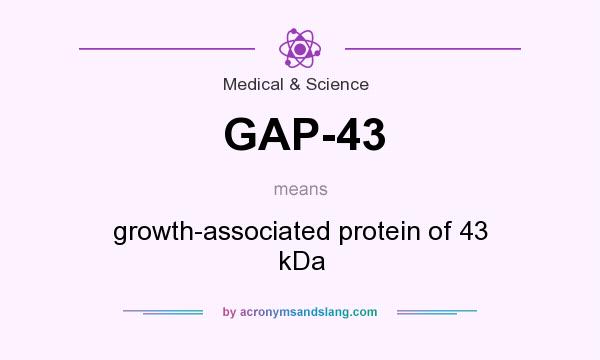 What does GAP-43 mean? It stands for growth-associated protein of 43 kDa
