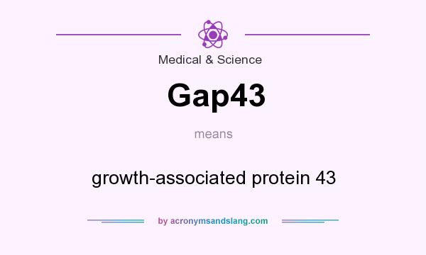 What does Gap43 mean? It stands for growth-associated protein 43