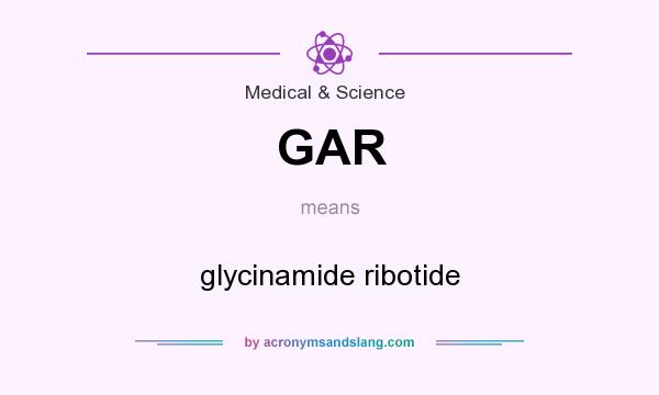 What does GAR mean? It stands for glycinamide ribotide