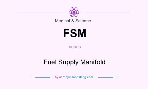 What does FSM mean? It stands for Fuel Supply Manifold