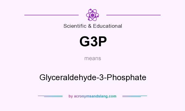 What does G3P mean? It stands for Glyceraldehyde-3-Phosphate