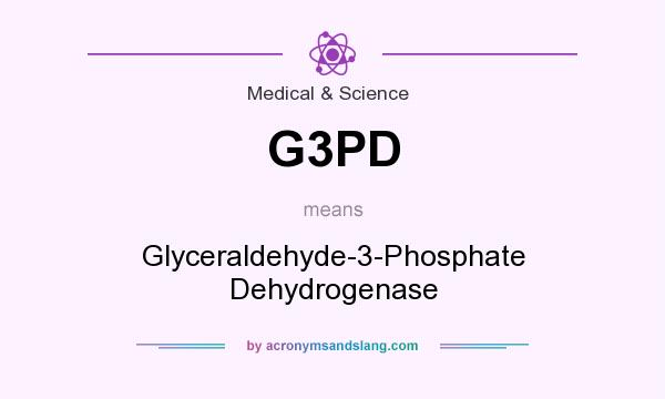What does G3PD mean? It stands for Glyceraldehyde-3-Phosphate Dehydrogenase