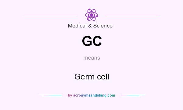 What does GC mean? It stands for Germ cell