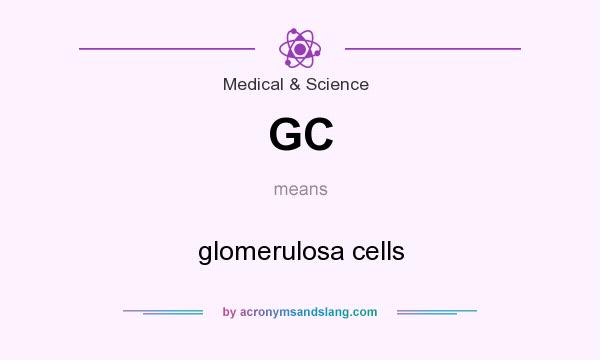 What does GC mean? It stands for glomerulosa cells
