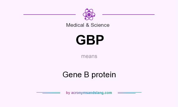 What does GBP mean? It stands for Gene B protein