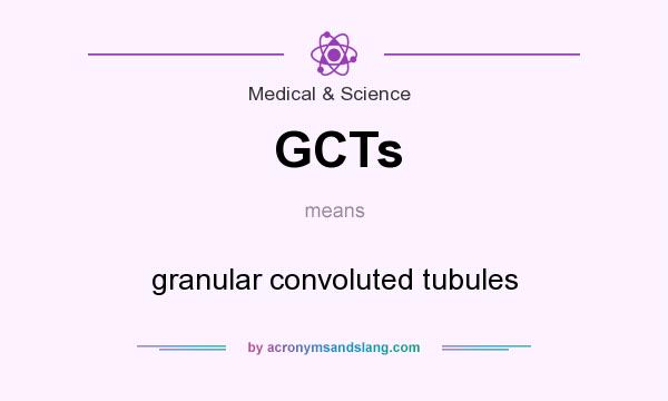 What does GCTs mean? It stands for granular convoluted tubules