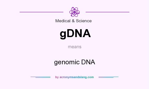 What does gDNA mean? It stands for genomic DNA
