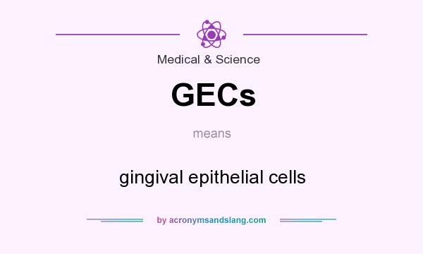 What does GECs mean? It stands for gingival epithelial cells
