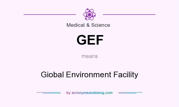 What does GEF mean? It stands for Giobal Environment Facility