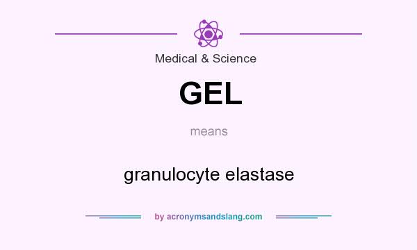 What does GEL mean? It stands for granulocyte elastase