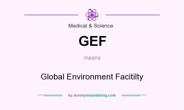 What does GEF mean? It stands for Global Environment Facitilty
