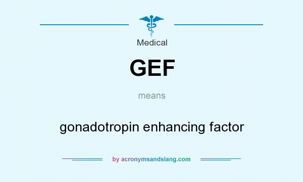 What does GEF mean? It stands for gonadotropin enhancing factor